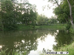 Adakavo_a_taur_adak_092-ec78550b285f29897bea8fbf381618d8.JPG