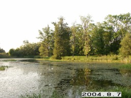 Adakavo_a_taur_adak_104-268b6029f6fb1fe5e08f8cf3281ab296.JPG