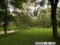 Adomynes_a_kupi_adomy_017-cdd119aab659d992c868699dd75eb659.JPG