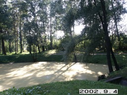 Alantos-Naujasodzio_a_mole_alan_022-c89ec7fc1fd7b1a21c8668944bf42f90.jpg