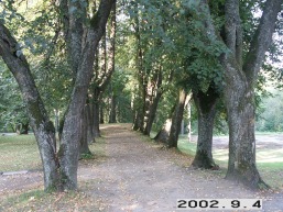 Alantos-Naujasodzio_a_mole_alan_025-28d579a72b6ac4a8a8bfe97f02e2e738.jpg