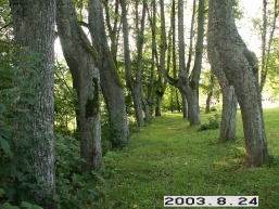 Aleksandraveles_a_roki_aleksan_039-2b5e46d309c7f4fd8ec37f1768cf6ec3.JPG