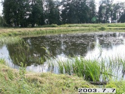 Anavilio_a_viln_anavil_043-a01279400c2fe02ef7726f57e54571f4.JPG