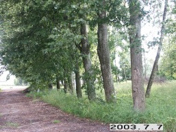 Anavilio_a_viln_anavil_048-1e8e558d9960c6a44e24c5fe4daadca4.JPG