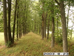 Antasavos_a_kupi_antasav_072-0a30bacec3305deb01b12384dd5ab883.JPG