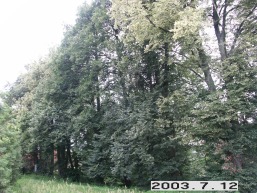 Antaviliu_a_viln_antavil_059-e55853d28811bce106e010a53c3abab7.JPG
