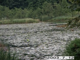 Antaviliu_a_viln_antavil_063-1e4273504f56a79fcc15dfd0d4b0dac3.JPG