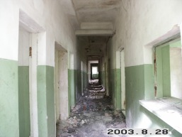 Ariogalos-Cekuvos_a_rase_ariog_015-f61527c6a254fe83bfb9b228abdc74bf.JPG