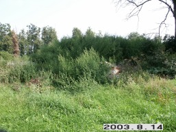 Aristavos_a_keda_arist_025-7749564edbfa9d992b77031a5bc27a87.JPG