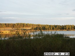 Arnioniu_a_mole_arnio_015-6d9be0efa77d804270d113cd3ef88703.jpg