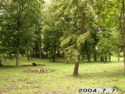 Astriosios-Kirsnos_a_lazd_astrkirs_030-8f16d20d8ac6b848fd4fdf886f60b0c1.JPG