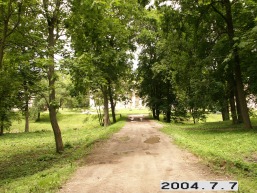 Astriosios-Kirsnos_a_lazd_astrkirs_031-926cc98fdbe3c5294f7fde58a90358cf.JPG