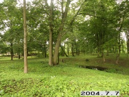 Astriosios-Kirsnos_a_lazd_astrkirs_041-08517f14512cf18977bd72c7bd4968ff.JPG
