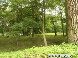 Astriosios-Kirsnos_a_lazd_astrkirs_042-71d7766410d9f8dd189a39bc26740663.JPG