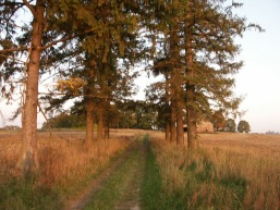 Aukstadvario-1_a_pane_aukstad_014-900bf365e6b6692ef864c4bf6ff1e4ae.JPG