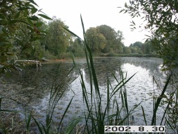 Avizieniu_a_uten_aviz_008-f0e034814fac12458cdcc22925889e08.jpg