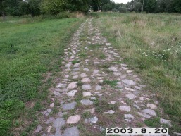 Azuolpamuses_a_pasv_azuol_090-e474a4665091ade9ea4a7b3818e55eea.JPG