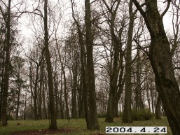 Baisogalos_a_radv_bais_065-7ec2e99f5213c474c65c607dd5c2f4aa.JPG