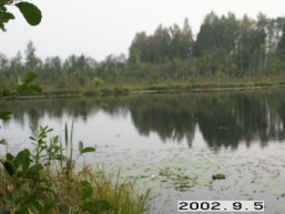 Bajoriskiu_a_uten_bajo_001-cb05b3f09c554b2f7ac8c0db0f075303.jpg