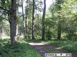 Balbieriskio_a_prie_balbier_076-fdc34c03eb6f81baf13e7fcaefb02c08.JPG