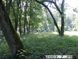 Balbieriskio_a_prie_balbier_077-8a802dcd17fd7338eff7d25abdd6ca32.JPG