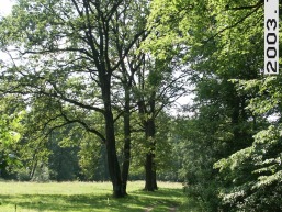 Balbieriskio_a_prie_balbier_078-aa40f62dd461f5b3687791cd78ace02f.JPG