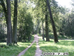 Balbieriskio_a_prie_balbier_081-6b30733f25d3fe08aef9a17303365ad8.JPG