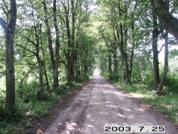 Balbieriskio_a_prie_balbier_084-5a60c26068123b131368107a171cd165.JPG