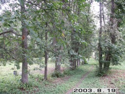 Baltpamusio_a_pasv_baltap_039-34073829670119c76404f1d2d09fd664.JPG
