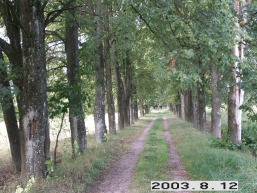 Barborlaukio_a_jona_barborlau_014-abf7881d4d7b7f76b69ff6e47b0b2acf.JPG