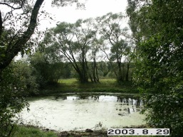 Bartkuniskio_a_keda_bartk_026-d12cf51032ea68e0d8860bf561aeb4f7.JPG