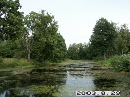 Bartkuniskio_a_keda_bartk_029-115e7f19db0872eb664d56eb89f4905f.JPG
