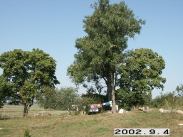 Bekupes_a_mole_beku_002-27d5c2e6e38d3460b0c88707db0317aa.jpg