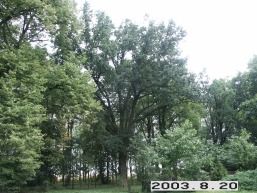 Berklainiu_a_pasv_berk_055-a688762ffce7ddf2f659a5f09d1fb0c2.JPG