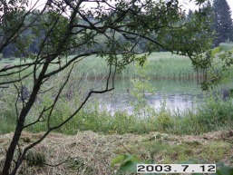 Bezdoniu-I-Arvydu_a_viln_bezdon_043-4b1c75fb8c3f7e863503c60c517ec533.JPG