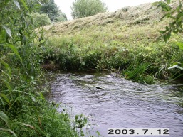 Bezdoniu-I-Arvydu_a_viln_bezdon_044-fe5b291b4d464ae38d77477c21f6429d.JPG