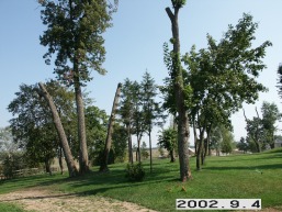 Bijutiskio_a_mole_biju_002-cc258d02a58174bb0b4b3a52c6d3b148.jpg