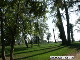 Bijutiskio_a_mole_biju_014-70538996f5dc77acd7521438d993604e.jpg