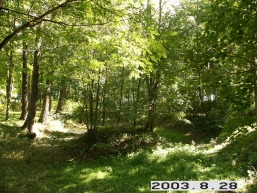 Biliunu_a_rase_biliun_034-c63abd48adf9ac00af4d34ac62b7ce74.JPG