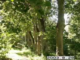Biliunu_a_rase_biliun_040-19fcd40af592cf7ff9cf623c1d855a2d.JPG