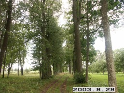 Biliunu_a_rase_biliun_047-059deba20bbbf7fa58daec7c271eb7cf.JPG