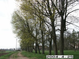 Birzeliu_a_radv_birz_030-f02c91e9b97b82f08135290356d9e788.JPG