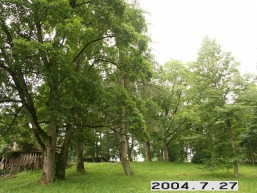 Birzuvenu_a_tels_birz_057-2895fe6da72dba8a78a4b72d09c08449.JPG