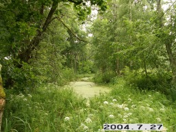 Birzuvenu_a_tels_birz_076-071b2ef85f038a6b82d71842ad4954fa.JPG