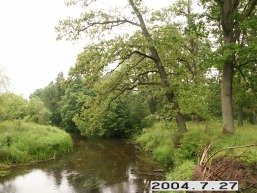 Birzuvenu_a_tels_birz_078-436911139e7b8610235e242b7077988d.JPG