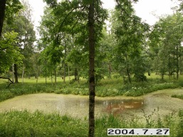 Birzuvenu_a_tels_birz_086-8f8639cbac44af87c9f9ac3fd3feb96b.JPG