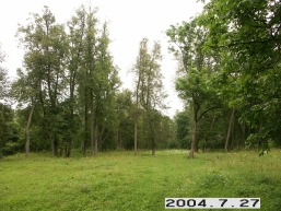 Birzuvenu_a_tels_birz_089-f247312cfad107da3b2b7c3e17aa1bbd.JPG