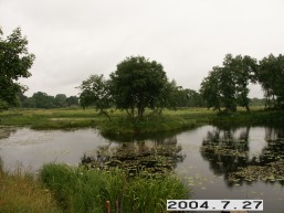 Birzuvenu_a_tels_birz_091-2a0d0375265659815e96216f8ee5bca9.JPG