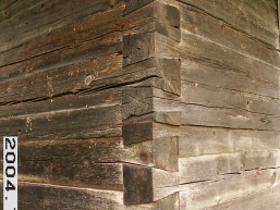 Birzuvenu_a_tels_birz_104-e8a0c4d71f66f73667647693894f6993.JPG