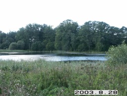 Blinstrubiskiu_a_rase_blins_049-beaea1c9b7f9f48698c3c26577161d13.JPG